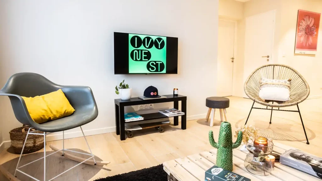 Salon avec télévision, fauteuils design et plante cactus décorative — Maison Le Quesne, coliving IvyNest à Marcq-en-Barœul